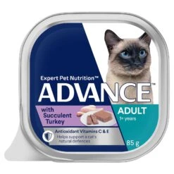 Advance Cat Food Tray Adult With Succulent Turkey