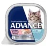 Advance Cat Food Tray Kitten Chicken & Salmon -Pet Supplies Sales advance cat food tray kitten chicken salmonkellyville pets 107937