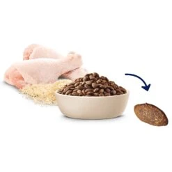 Advance Dog Food Puppy Large Breed Chicken With Rice -Pet Supplies Sales advance dog food puppy large breed chicken with ricekellyville pets 960098