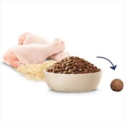Advance Dog Food Puppy Medium Breed Chicken With Rice -Pet Supplies Sales advance dog food puppy medium breed chicken with ricekellyville pets 539063