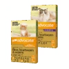 Advocate For Cats -Pet Supplies Sales advocate for catskellyville pets 180656