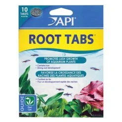 API Root Tabs