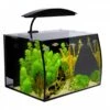 Aqua One Arc 30 Tank -Pet Supplies Sales aqua one arc 30 tankkellyville pets 206242
