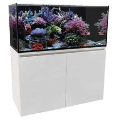 Aqua One ReefSys 326 Marine Aquarium Kit 9 Aqua One ReefSys 326 Marine Aquarium Kit -Pet Supplies Sales aqua one reefsys 326 marine aquarium kitkellyville pets 979072
