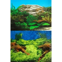 Aquarium Background Per Foot -Pet Supplies Sales aquarium background per footkellyville pets 347158