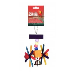 Birdie Bird Toy Rainbow Flying Wheel