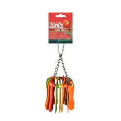 Birdie Bird Toy Rainbow Popsicle Hanging