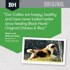 Black Hawk Dog Food Adult Chicken & Rice -Pet Supplies Sales black hawk dog food adult chicken ricekellyville pets 650098