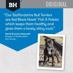 Black Hawk Dog Food Adult Fish & Potato -Pet Supplies Sales black hawk dog food adult fish potatokellyville pets 941466