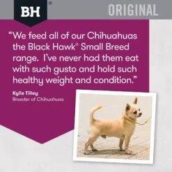 Black Hawk Dog Food Adult Small Breed Lamb & Rice 15 Black Hawk Dog Food Adult Small Breed Lamb & Rice -Pet Supplies Sales black hawk dog food adult small breed lamb ricekellyville pets 476973