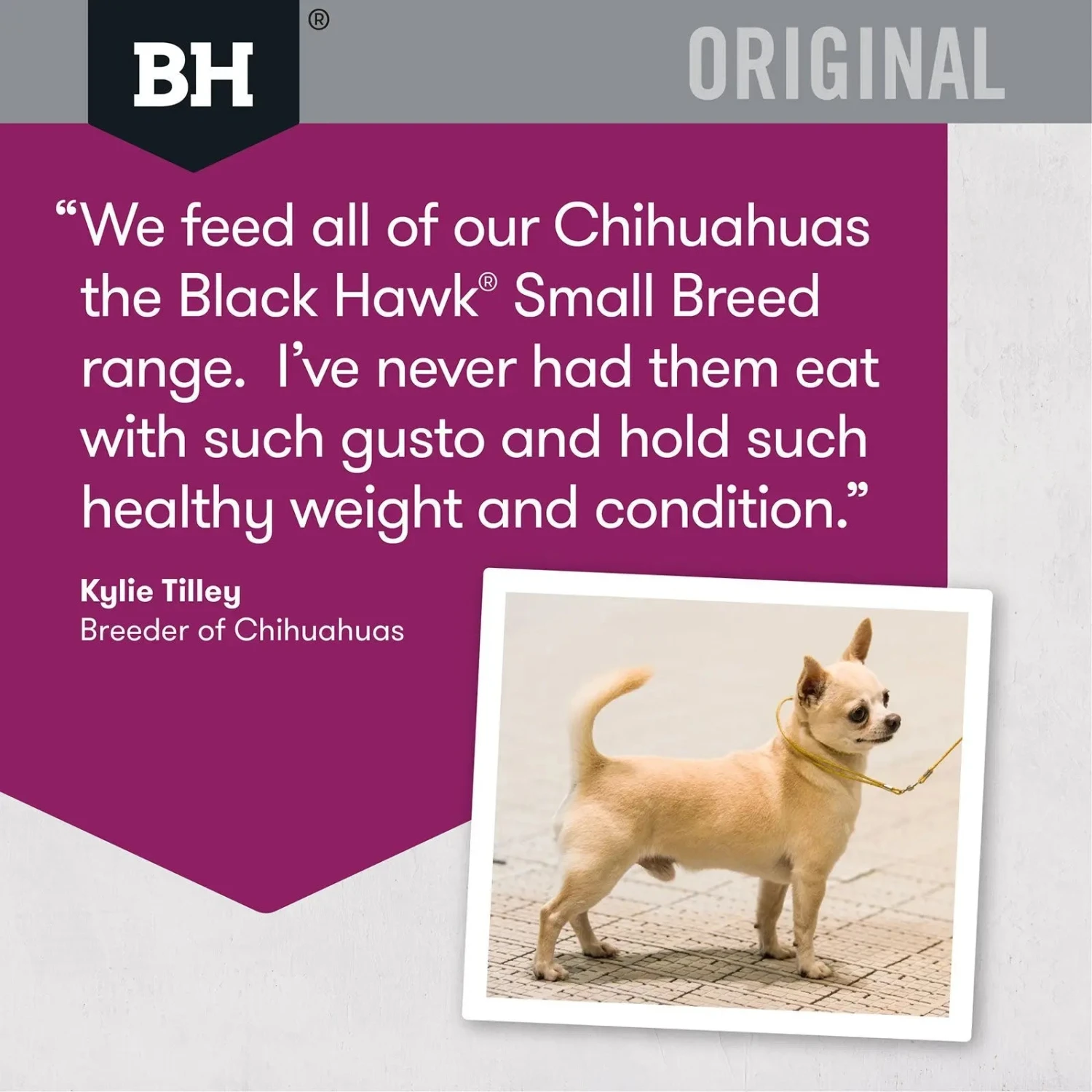 Black Hawk Dog Food Adult Small Breed Lamb & Rice 8 Black Hawk Dog Food Adult Small Breed Lamb & Rice - Image 6