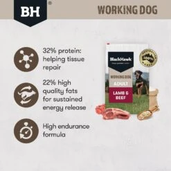 Black Hawk Dog Food Working Adult Lamb & Beef -Pet Supplies Sales black hawk dog food working adult lamb beefkellyville pets 494225