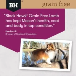 Black Hawk Grain Free Dog Food Adult Lamb -Pet Supplies Sales black hawk grain free dog food adult lambkellyville pets 413931