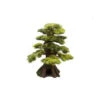 Bonsai Plant Ornament Small 2 Bonsai Plant Ornament Small -Pet Supplies Sales bonsai plant ornament smallkellyville pets 898123