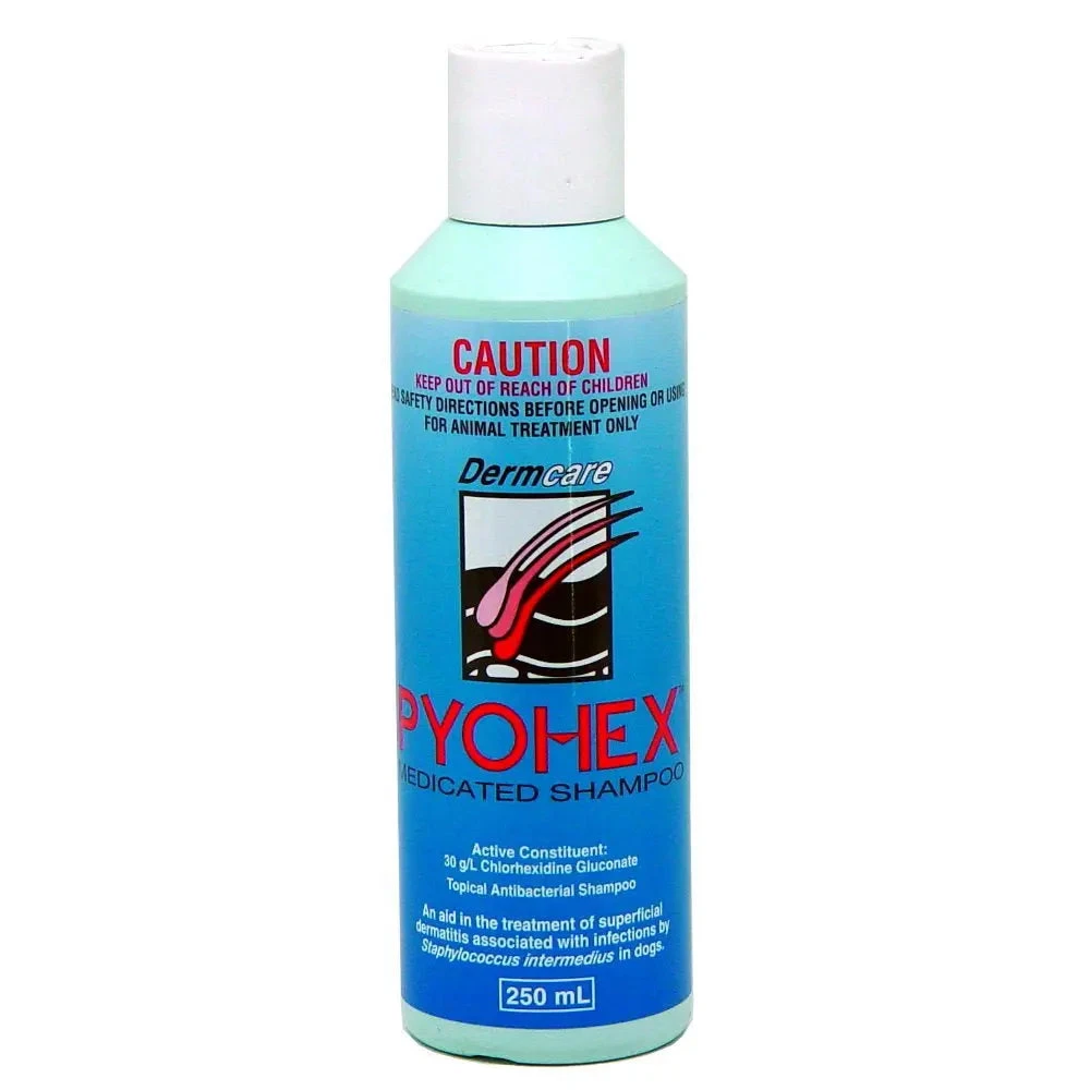 Dermcare Pyohex Medicated Shampoo 3 Dermcare Pyohex Medicated Shampoo