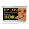 Exo Terra Canned Black Soldier Fly Larvae -Pet Supplies Sales exo terra canned black soldier fly larvaekellyville pets 697523