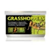 Exo Terra Canned Grasshoppers -Pet Supplies Sales exo terra canned grasshopperskellyville pets 502813