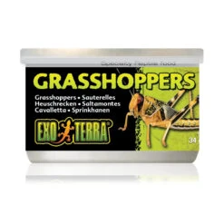Exo Terra Canned Grasshoppers