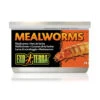 Exo Terra Canned Mealworms