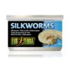 Exo Terra Canned Silkworms -Pet Supplies Sales exo terra canned silkwormskellyville pets 260785