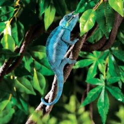 Exo Terra Jungle Vine -Pet Supplies Sales exo terra jungle vinekellyville pets 713618