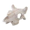 Exo Terra Ornament Buffalo Skull -Pet Supplies Sales exo terra ornament buffalo skullkellyville pets 610494