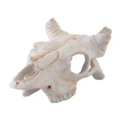 Exo Terra Ornament Buffalo Skull