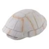 Exo Terra Ornament Tortoise Skeleton 1 Exo Terra Ornament Tortoise Skeleton -Pet Supplies Sales exo terra ornament tortoise skeletonkellyville pets 531093