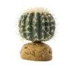 Exo Terra Plant Barrel Cactus -Pet Supplies Sales exo terra plant barrel cactuskellyville pets 674857