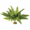 Exo Terra Plant Boston Fern -Pet Supplies Sales exo terra plant boston fernkellyville pets 836403