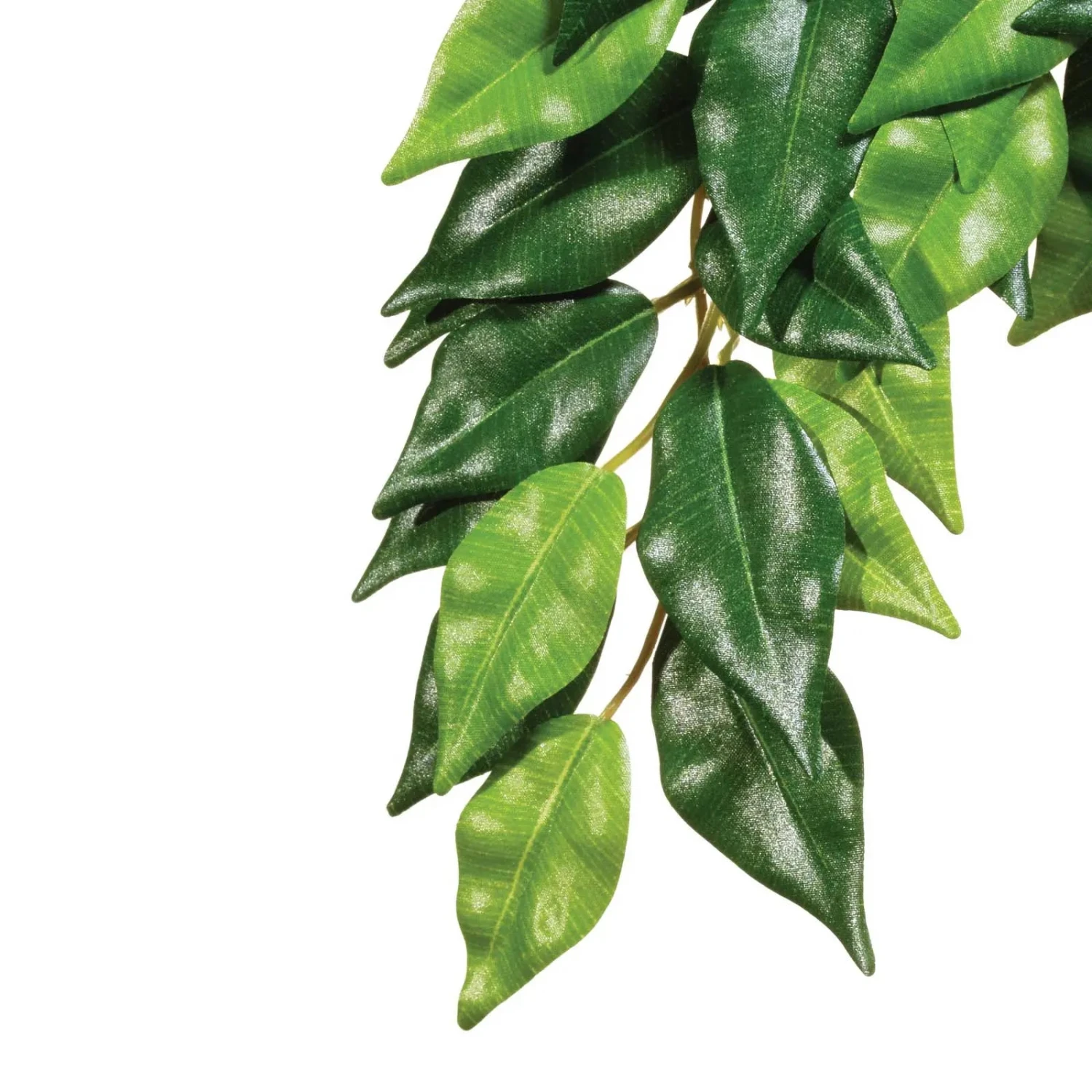 Exo Terra Plant Hanging Ficus 3 Exo Terra Plant Hanging Ficus