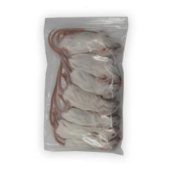 Frozen Mice 11 Frozen Mice -Pet Supplies Sales frozen micekellyville pets 378533