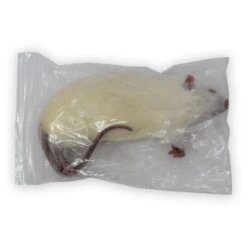 Frozen Rats -Pet Supplies Sales frozen ratskellyville pets 508332