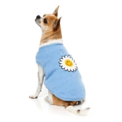 Fuzzyard Fleur Dog Coat - Blue -Pet Supplies Sales fuzzyard fleur dog coat bluekellyville pets 726932