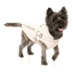Fuzzyard Horizon Dog Coat - Beige -Pet Supplies Sales fuzzyard horizon dog coat beigekellyville pets 700271