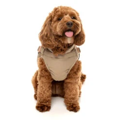 Fuzzyard Horizon Jacket - Taupe -Pet Supplies Sales fuzzyard horizon jacket taupekellyville pets 779429