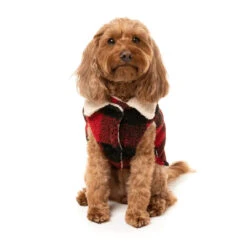 Fuzzyard Lumberjack Dog Coat - Red -Pet Supplies Sales fuzzyard lumberjack dog coat redkellyville pets 454601