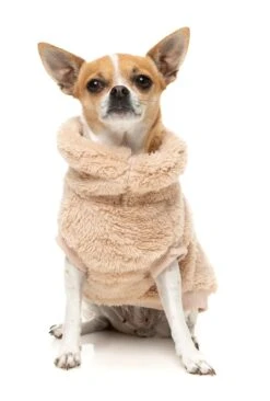Fuzzyard Turtle Teddy Dog Jumper - Desert Tan -Pet Supplies Sales fuzzyard turtle teddy dog jumper desert tankellyville pets 581490