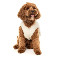 Fuzzyard Umeda Reversible Dog Coat - Bone -Pet Supplies Sales fuzzyard umeda reversible dog coat bonekellyville pets 562231