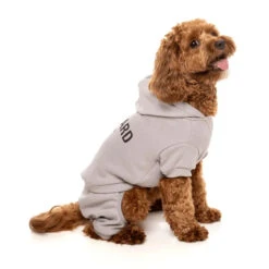 Fuzzyard Urban Tracksuit Dog Jumper - Cool Grey -Pet Supplies Sales fuzzyard urban tracksuit dog jumper cool greykellyville pets 107332
