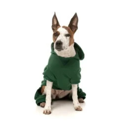 Fuzzyard Urban Tracksuit Dog Jumper - Green 9 Fuzzyard Urban Tracksuit Dog Jumper - Green -Pet Supplies Sales fuzzyard urban tracksuit dog jumper greenkellyville pets 334897