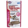 Hikari Sinking Carnivore Pellet -Pet Supplies Sales hikari sinking carnivore pelletkellyville pets 117964