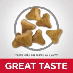 Hills Hill's Science Diet Cat Food Adult 11+ Indoor 13 Hills Hill's Science Diet Cat Food Adult 11+ Indoor -Pet Supplies Sales hills science diet cat food adult 11 indoorkellyville pets 415291