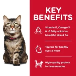 Hills Hill's Science Diet Cat Food Adult 7+ Hairball Control Senior 13 Hills Hill's Science Diet Cat Food Adult 7+ Hairball Control Senior -Pet Supplies Sales hills science diet cat food adult 7 hairball control seniorkellyville pets 613851