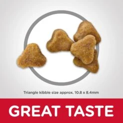 Hills Hill's Science Diet Cat Food Adult 7+ Hairball Control Senior 14 Hills Hill's Science Diet Cat Food Adult 7+ Hairball Control Senior -Pet Supplies Sales hills science diet cat food adult 7 hairball control seniorkellyville pets 814201