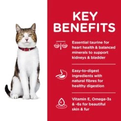 Hills Hill's Science Diet Cat Food Adult 7+ Senior -Pet Supplies Sales hills science diet cat food adult 7 seniorkellyville pets 337076