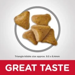 Hills Hill's Science Diet Cat Food Adult Hairball Control 14 Hills Hill's Science Diet Cat Food Adult Hairball Control -Pet Supplies Sales hills science diet cat food adult hairball controlkellyville pets 114233