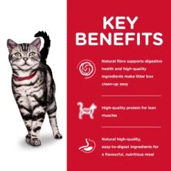 Hills Hill's Science Diet Cat Food Adult Indoor 15 Hills Hill's Science Diet Cat Food Adult Indoor -Pet Supplies Sales hills science diet cat food adult indoorkellyville pets 600781