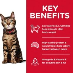 Hills Hill's Science Diet Cat Food Adult Light -Pet Supplies Sales hills science diet cat food adult lightkellyville pets 290552