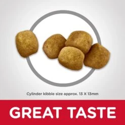 Hills Hill's Science Diet Cat Food Adult Oral Care -Pet Supplies Sales hills science diet cat food adult oral carekellyville pets 660223